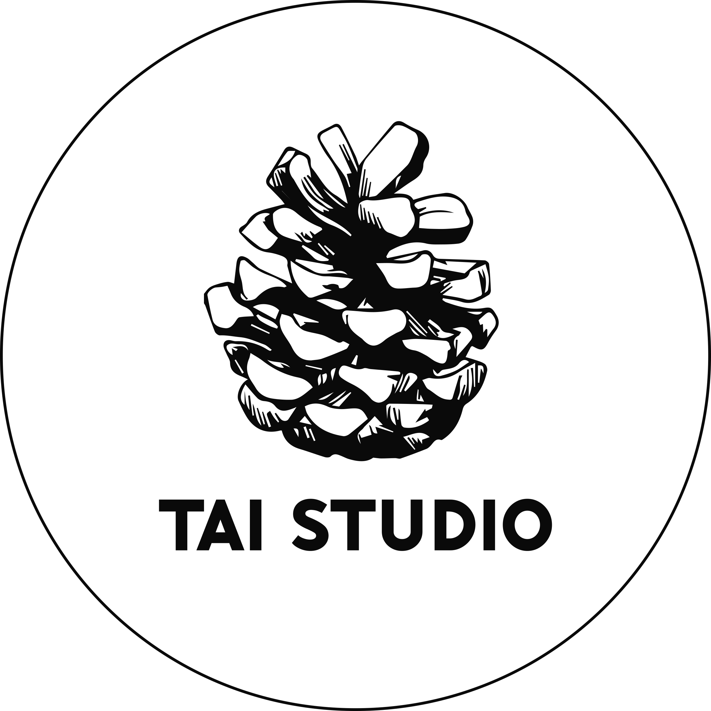 MTT Studio